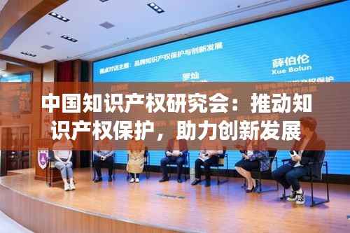 中国知识产权研究会:推动知识产权保护,助力创新发展