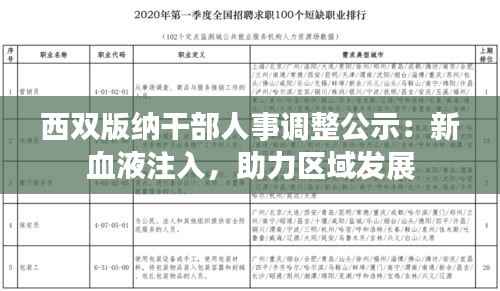 西双版纳干部人事调整公示:新血液注入,助力区域发展