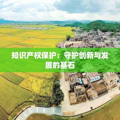 知识产权保护:守护创新与发展的基石