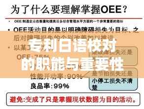 专利日语校对的职能与重要性解析