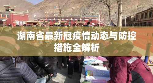 湖南省最新冠疫情动态与防控措施全解析