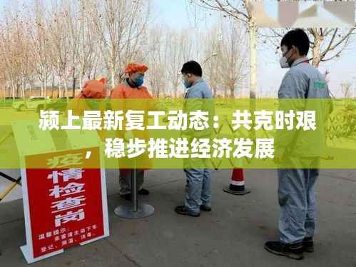 颍上最新复工动态:共克时艰,稳步推进经济发展