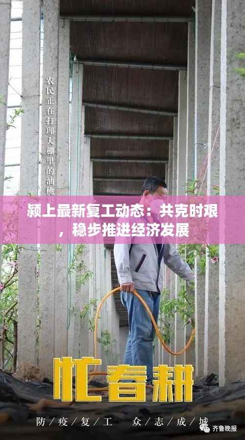 颍上最新复工动态:共克时艰,稳步推进经济发展