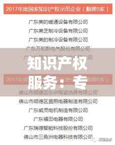 知识产权服务:专利之外的多维保护网