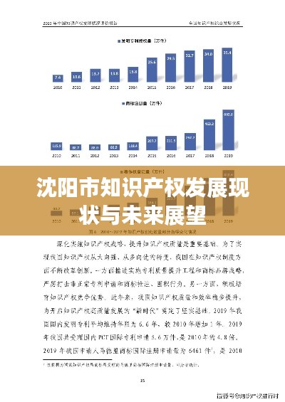 沈阳市知识产权发展现状与未来展望