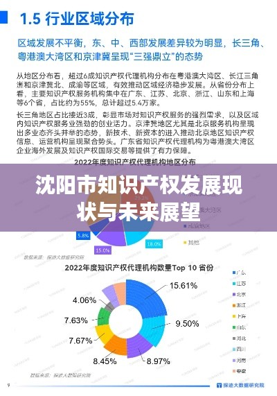 沈阳市知识产权发展现状与未来展望