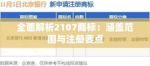全面解析2107商标：涵盖范围与注册要点