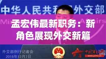 孟宏伟最新职务:新角色展现外交新篇章