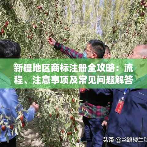 新疆地区商标注册全攻略:流程、注意事项及常见问题解答