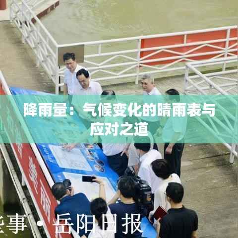 虫言鸟迹 第4页