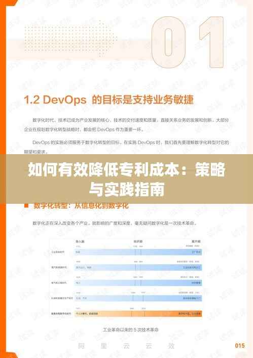 如何有效降低专利成本:策略与实践指南