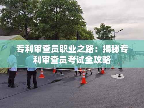 专利审查员职业之路:揭秘专利审查员考试全攻略