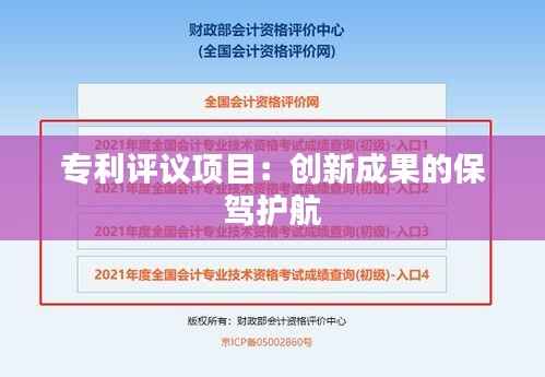 专利评议项目:创新成果的保驾护航