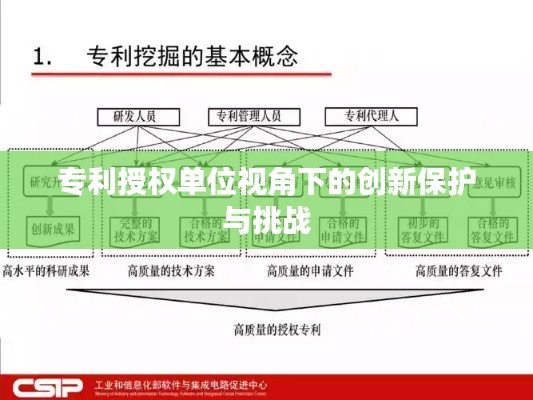 专利授权单位视角下的创新保护与挑战