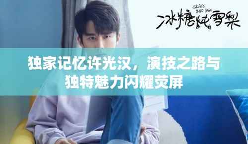 独家记忆许光汉,演技之路与独特魅力闪耀荧屏