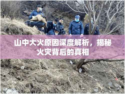 山中大火原因深度解析，揭秘火灾背后的真相