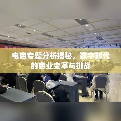 电商专题分析揭秘,数字时代的商业变革与挑战