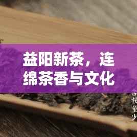 益阳新茶,连绵茶香与文化繁荣共融的魅力盛宴