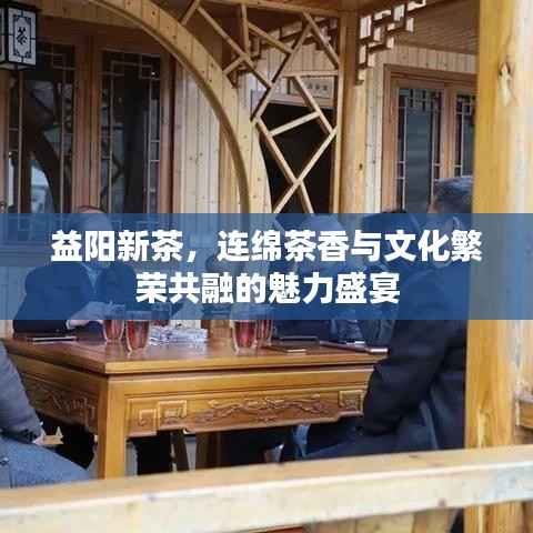 益阳新茶,连绵茶香与文化繁荣共融的魅力盛宴