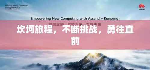 坎坷旅程,不断挑战,勇往直前