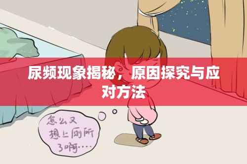 尿频现象揭秘,原因探究与应对方法