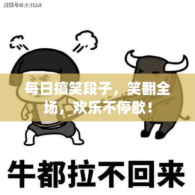 每日搞笑段子,笑翻全场,欢乐不停歇!