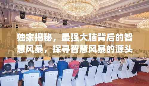 独家揭秘,最强大脑背后的智慧风暴,探寻智慧风暴的源头