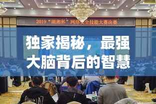 独家揭秘,最强大脑背后的智慧风暴,探寻智慧风暴的源头