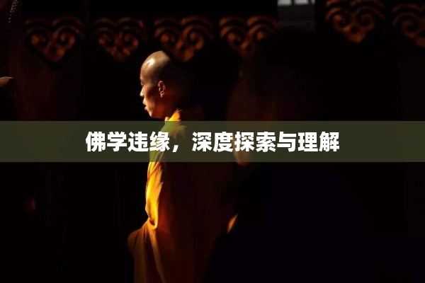 佛学违缘,深度探索与理解