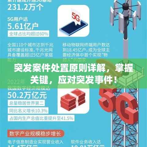 突发案件处置原则详解,掌握关键,应对突发事件!