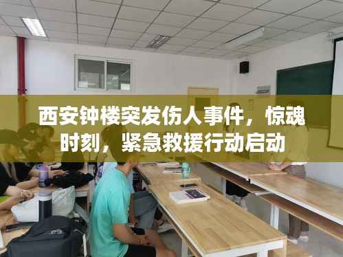 西安钟楼突发伤人事件,惊魂时刻,紧急救援行动启动
