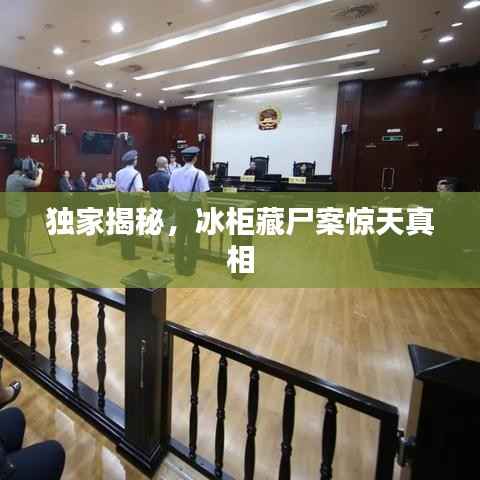 独家揭秘,冰柜藏尸案惊天真相