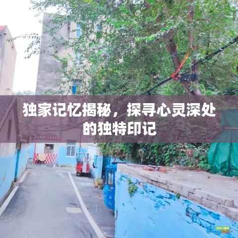 独家记忆揭秘,探寻心灵深处的独特印记