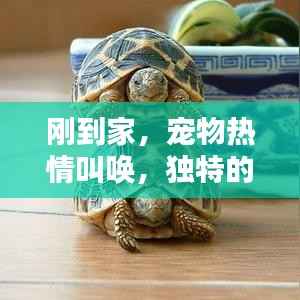 粗制滥造 第3页