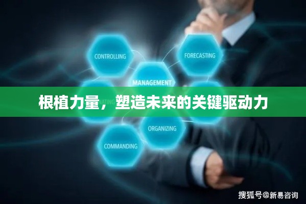根植力量,塑造未来的关键驱动力