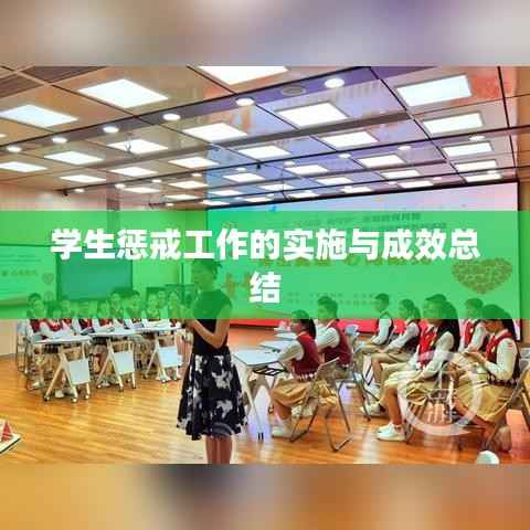 学生惩戒工作的实施与成效总结