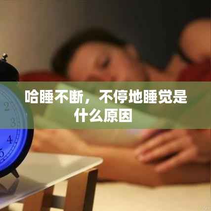 哈睡不断,不停地睡觉是什么原因