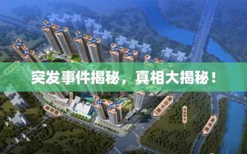 突发事件揭秘,真相大揭秘!