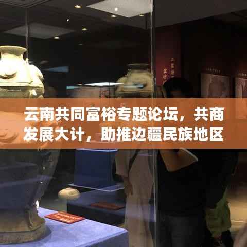 云南共同富裕专题论坛,共商发展大计,助推边疆民族地区共同富裕新征程
