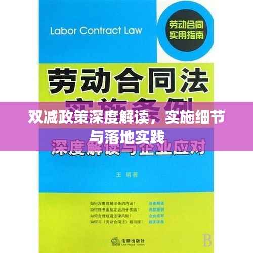 双减政策深度解读,实施细节与落地实践