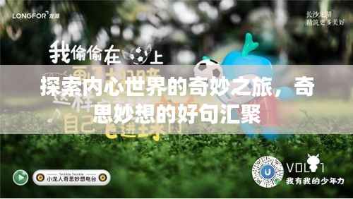探索内心世界的奇妙之旅,奇思妙想的好句汇聚