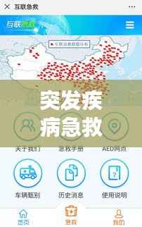 突发疾病急救流程,保障生命安全的七大关键步骤