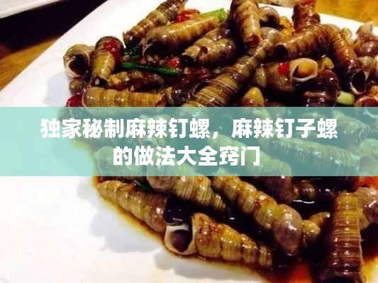 独家秘制麻辣钉螺,麻辣钉子螺的做法大全窍门