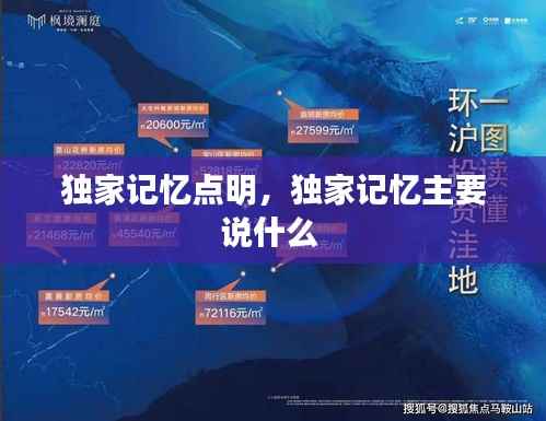 独家记忆点明,独家记忆主要说什么
