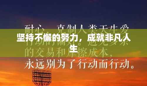 坚持不懈的努力，成就非凡人生