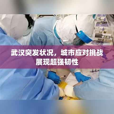 武汉突发状况,城市应对挑战展现超强韧性