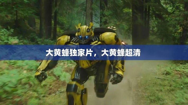 大黄蜂独家片,大黄蜂超清