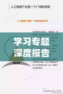 学习专题深度报告,成果、问题及改进策略全解析