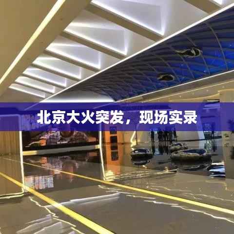 策名就列 第2页