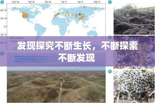 发现探究不断生长,不断探索不断发现